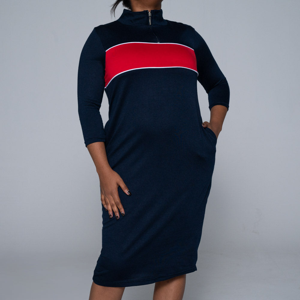 Plus Size Colour Block Dress