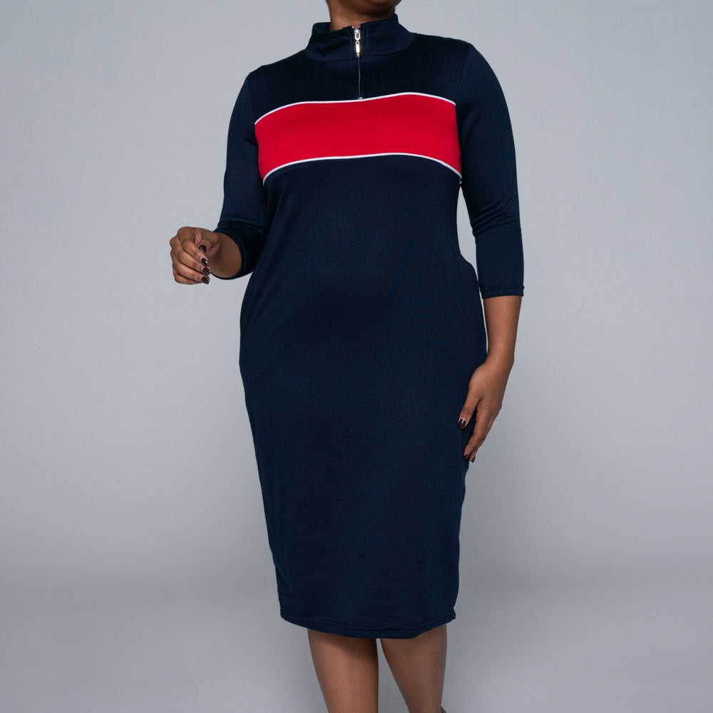 Plus Size Colour Block Dress