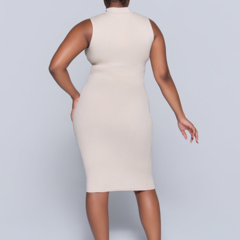 Stone Sleeveless Rib Turtle Neck Dress