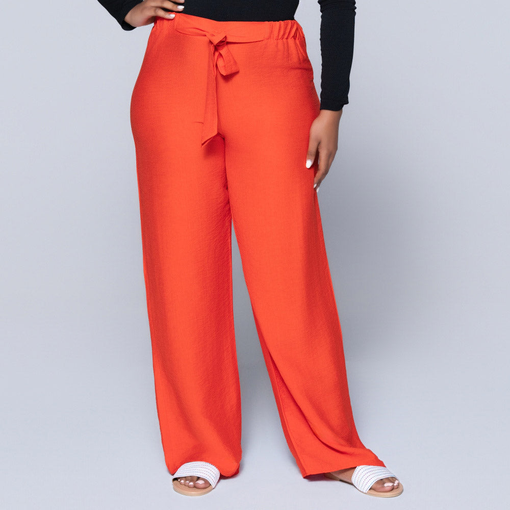 Plain Terracotta Nylon Rayon Pants