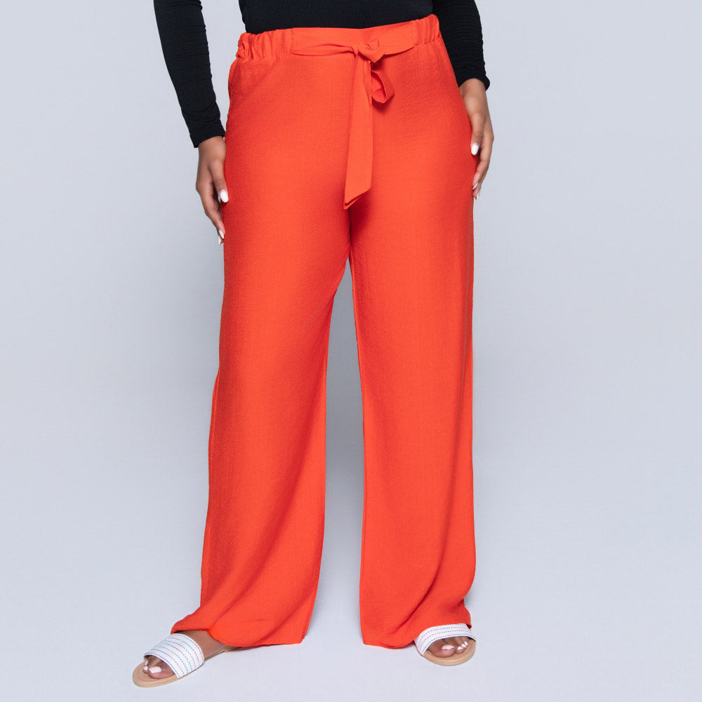 Plain Terracotta Nylon Rayon Pants