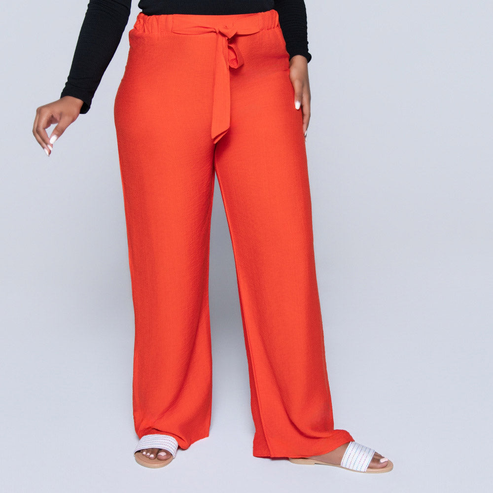 Plain Terracotta Nylon Rayon Pants