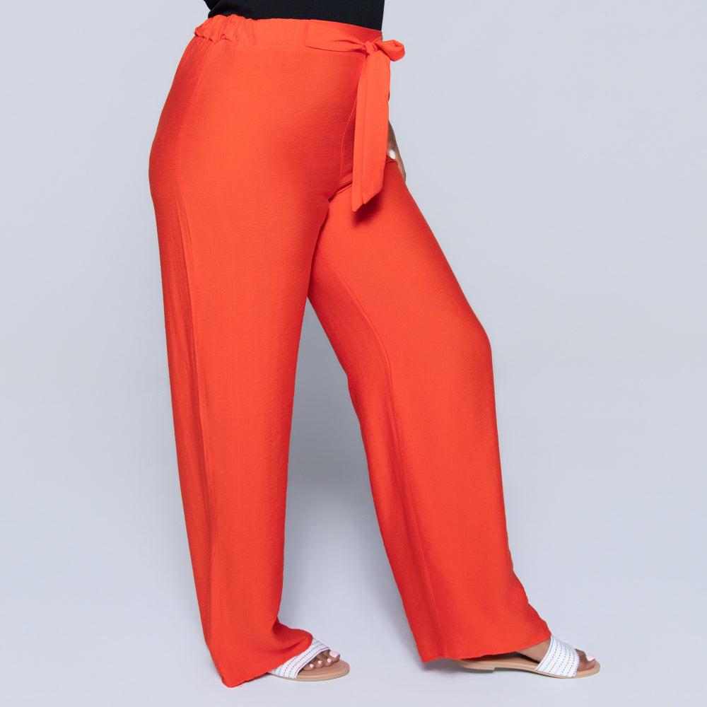 Plain Terracotta Nylon Rayon Pants