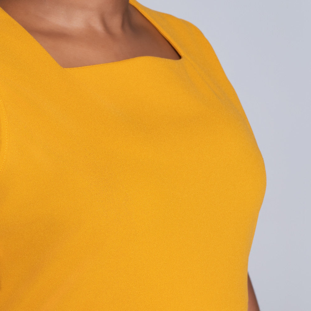 Plus Size Sleeveless Panel Dress