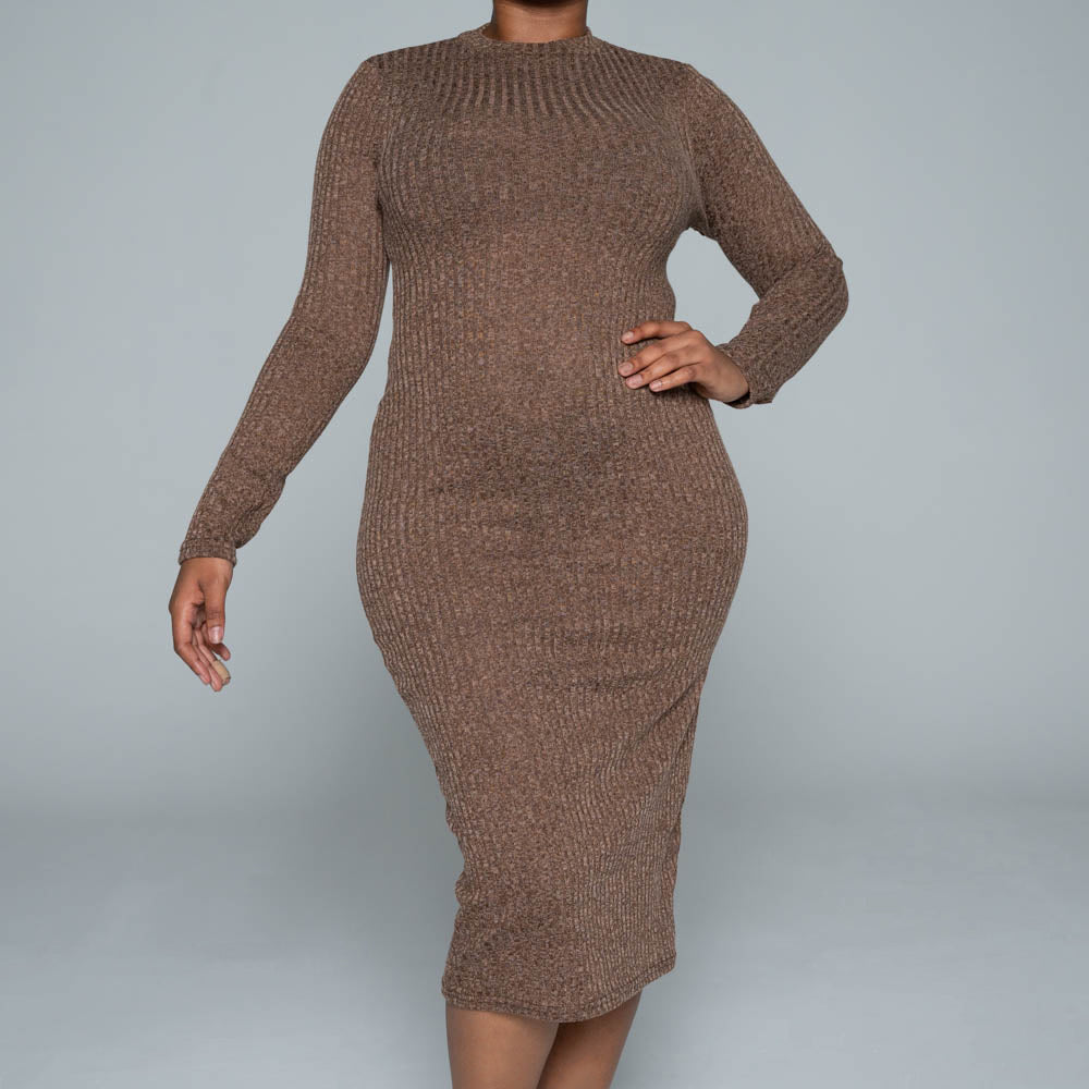 Brown Rib Turtle Neck Dress
