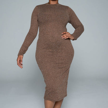 Brown Rib Turtle Neck Dress