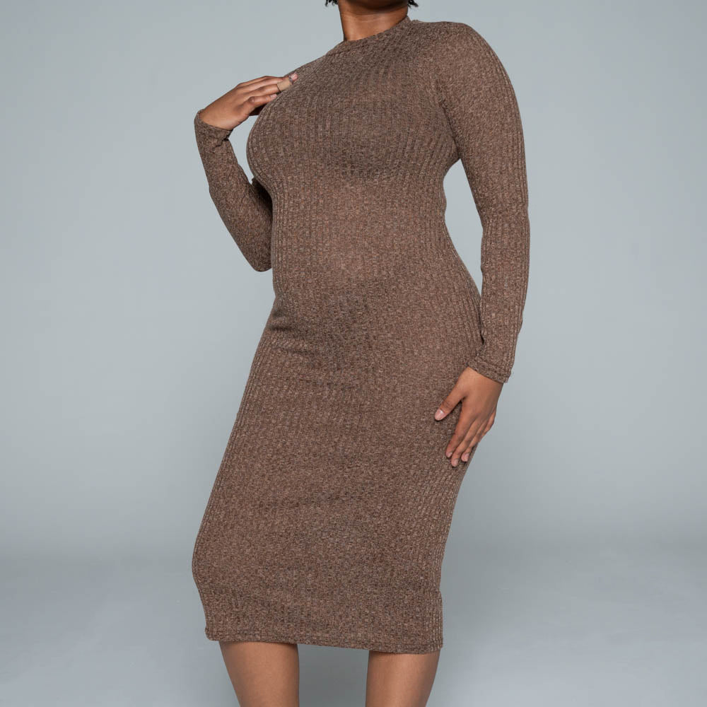 Brown Rib Turtle Neck Dress