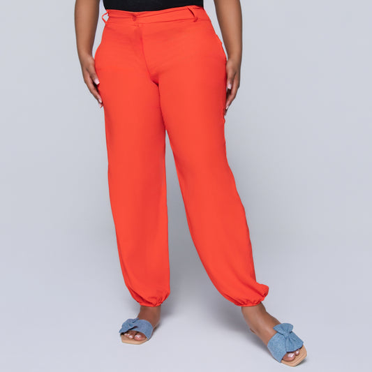 Terracotta Pants