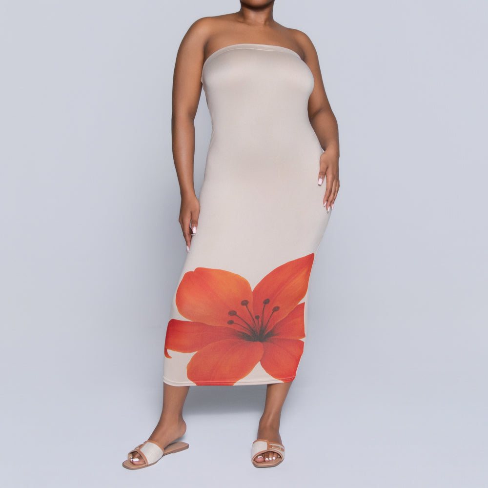 Front Print Boobtube Dress