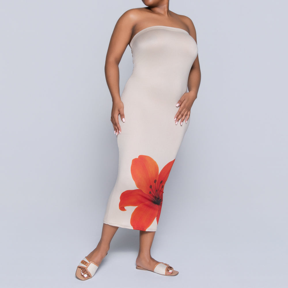 Front Print Boobtube Dress