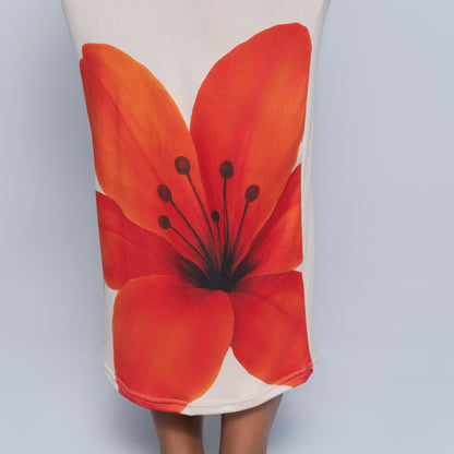 Front Print Boobtube Dress