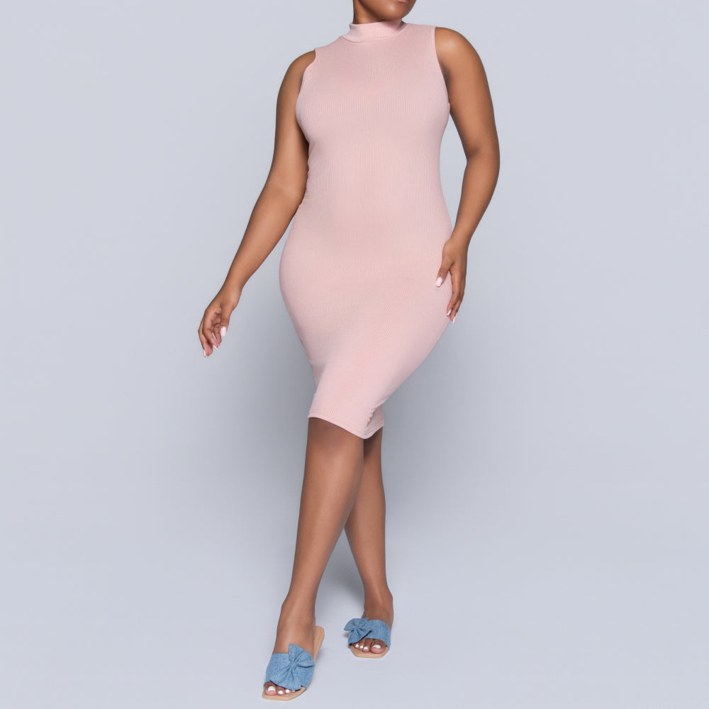 Mink Sleeveless Turtle Neck Dress