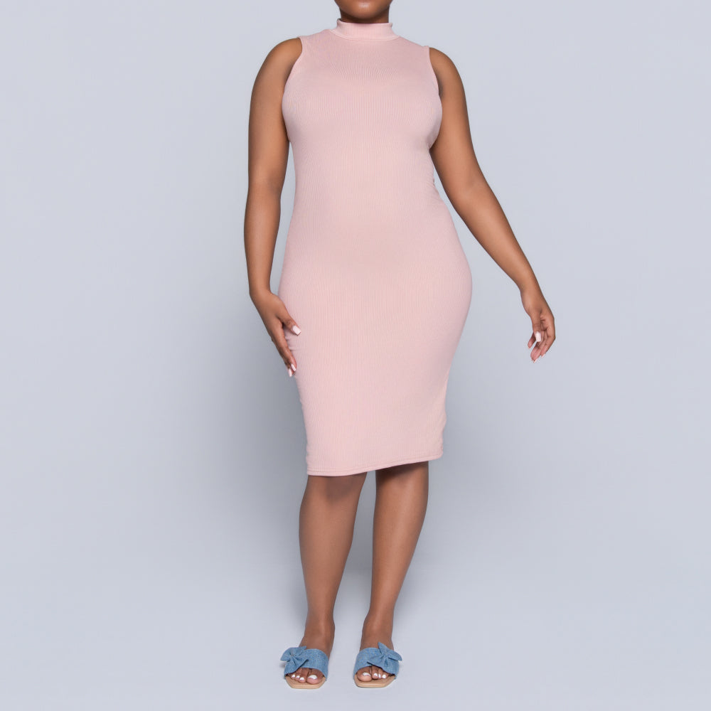 Mink Sleeveless Turtle Neck Dress