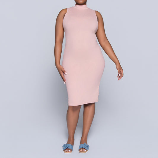 Mink Sleeveless Turtle Neck Dress