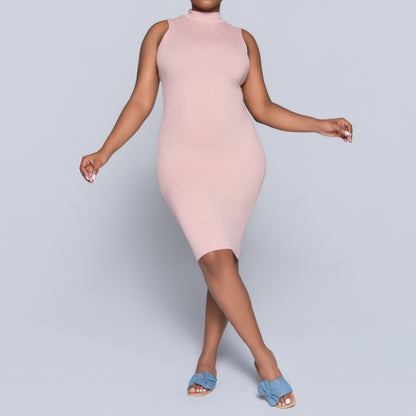 Mink Sleeveless Turtle Neck Dress