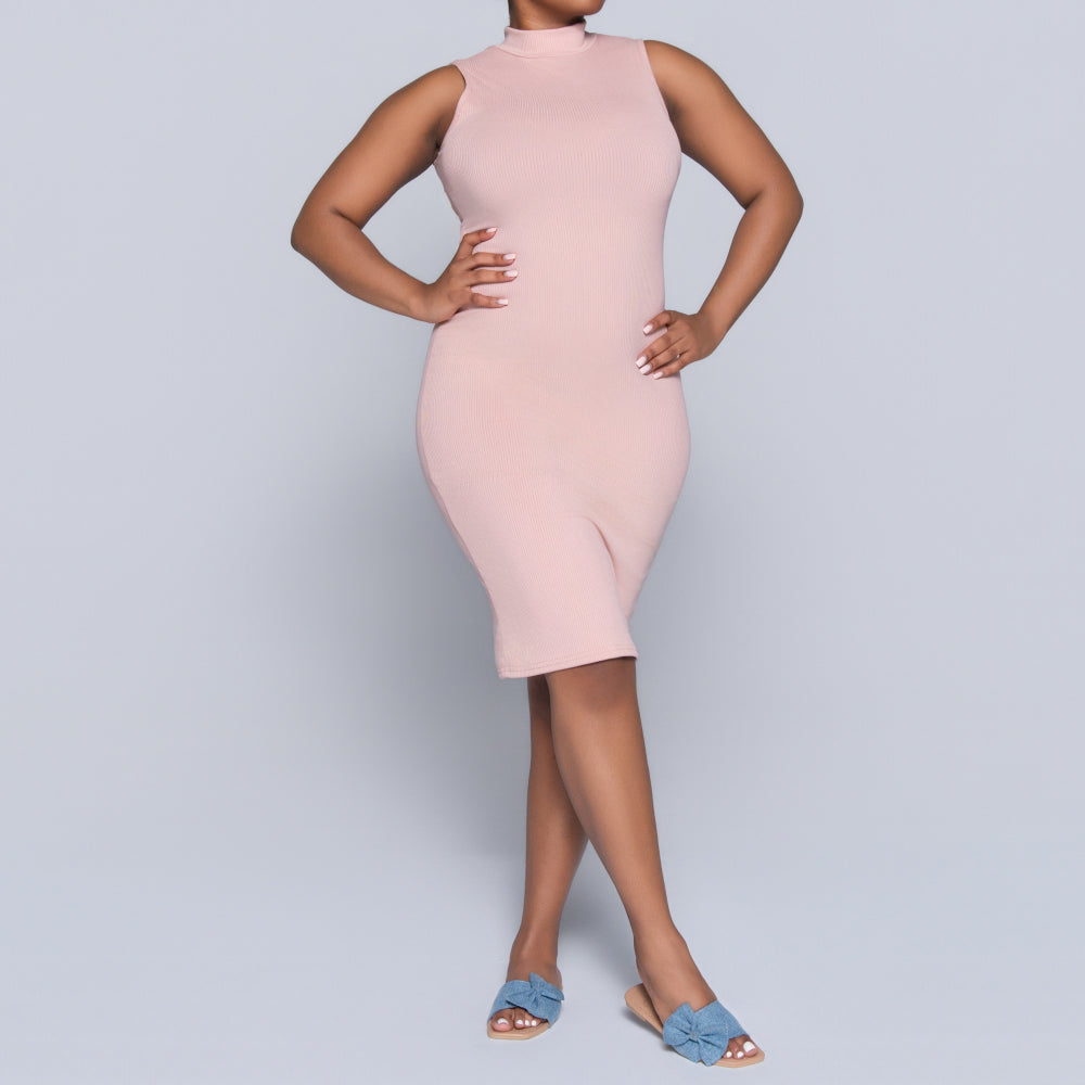 Mink Sleeveless Turtle Neck Dress