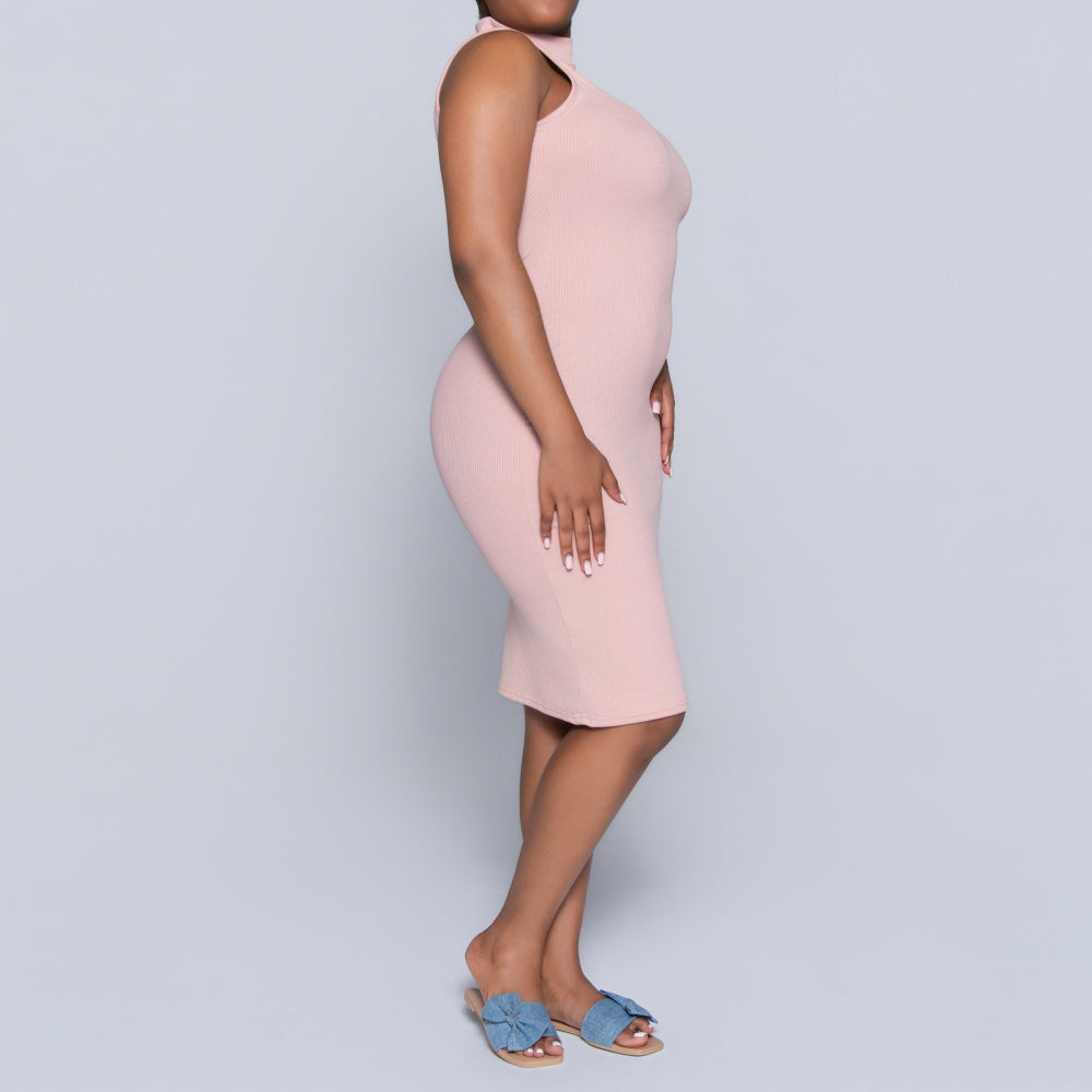 Mink Sleeveless Turtle Neck Dress