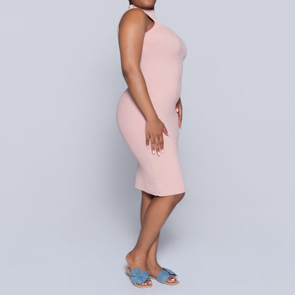 Mink Sleeveless Turtle Neck Dress