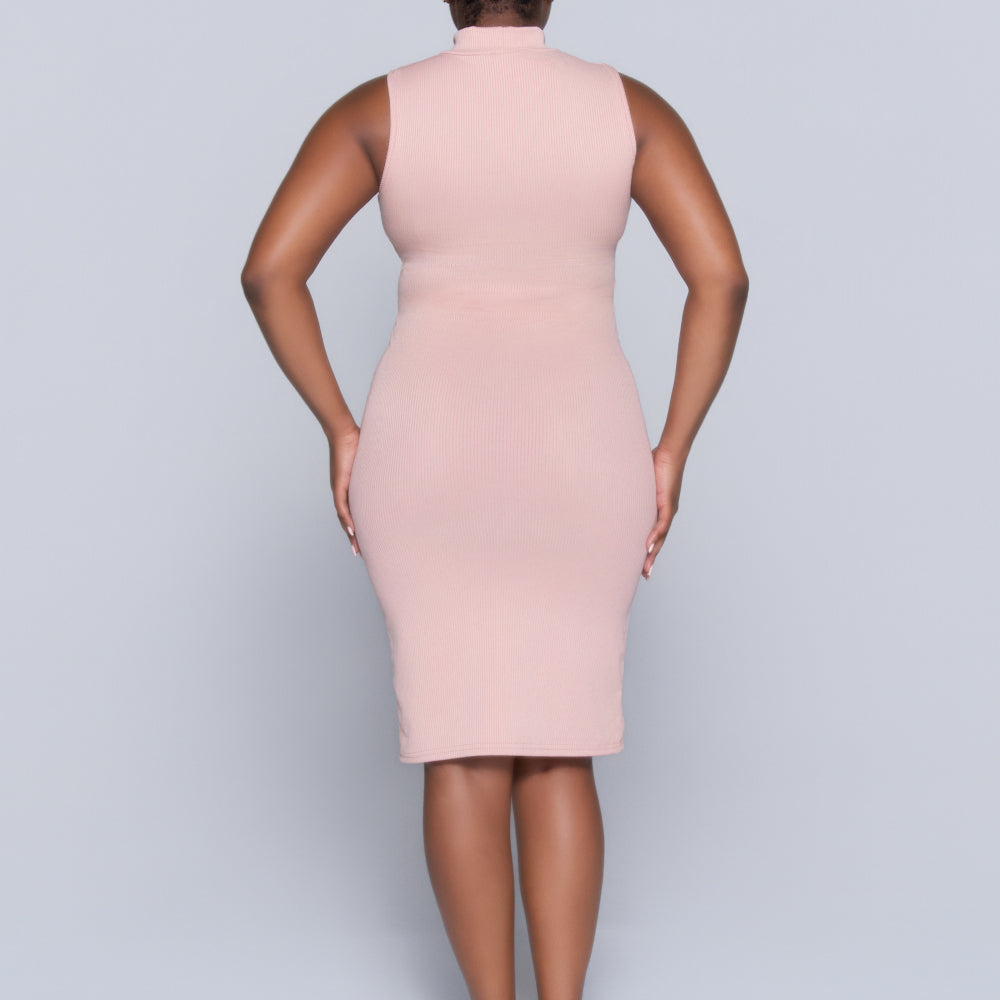 Mink Sleeveless Turtle Neck Dress