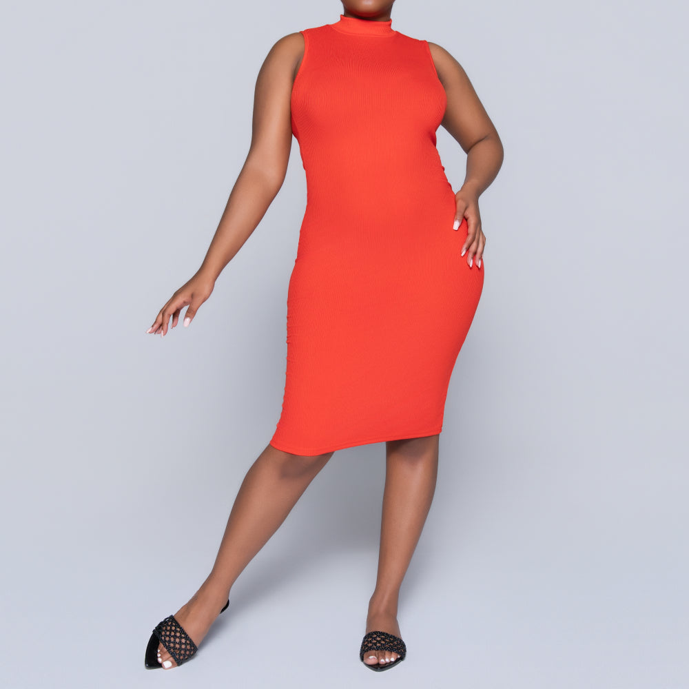 Terracotta Sleeveless Turtle Neck Dress