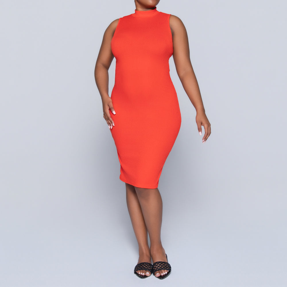 Terracotta Sleeveless Turtle Neck Dress