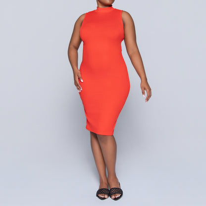 Terracotta Sleeveless Turtle Neck Dress