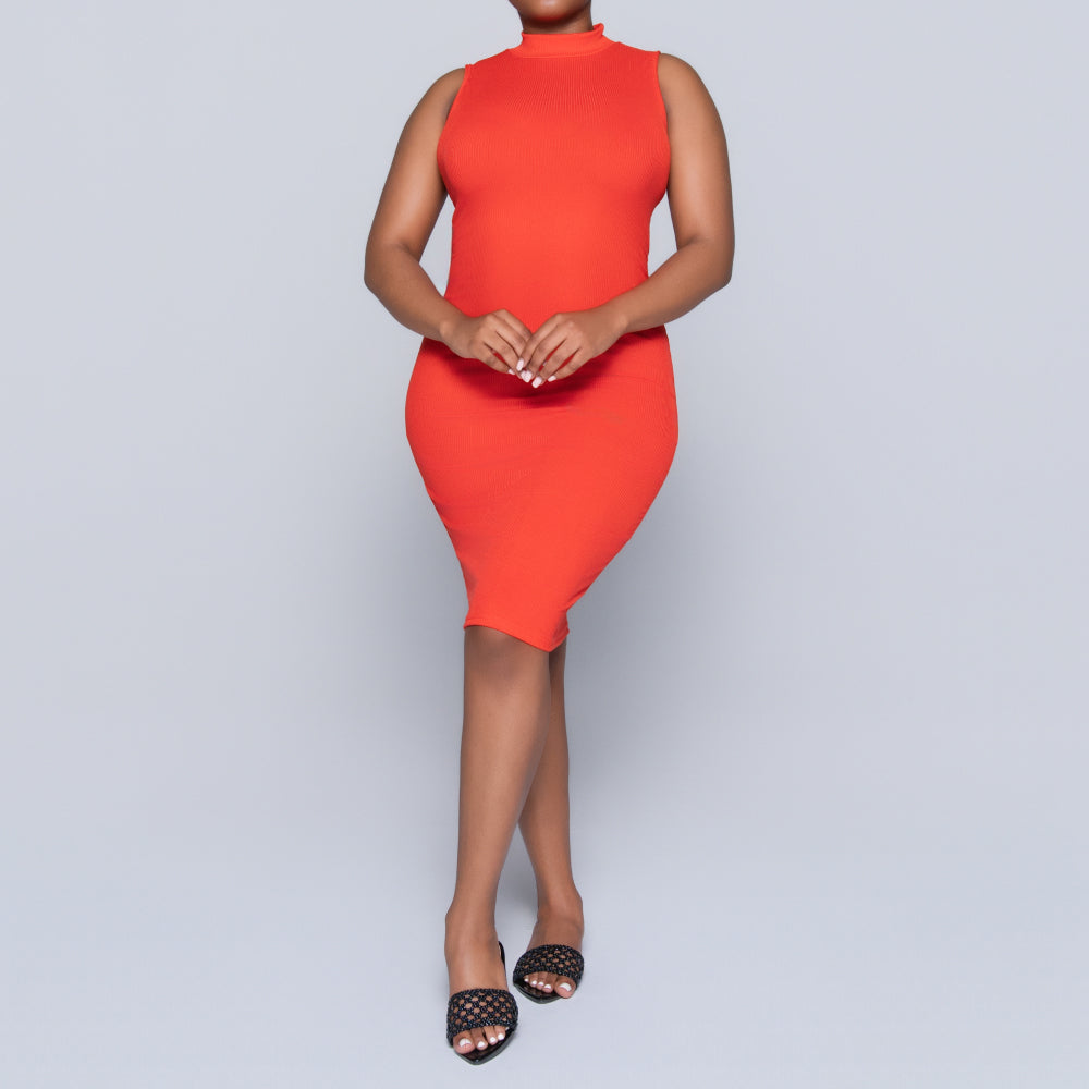 Terracotta Sleeveless Turtle Neck Dress