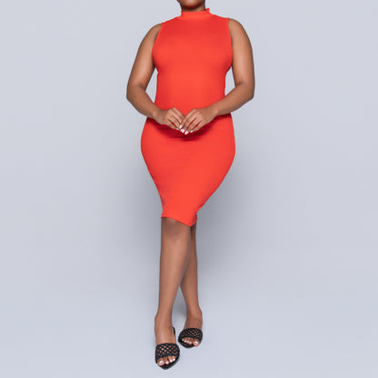 Terracotta Sleeveless Turtle Neck Dress