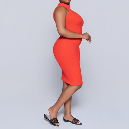 Terracotta Sleeveless Turtle Neck Dress