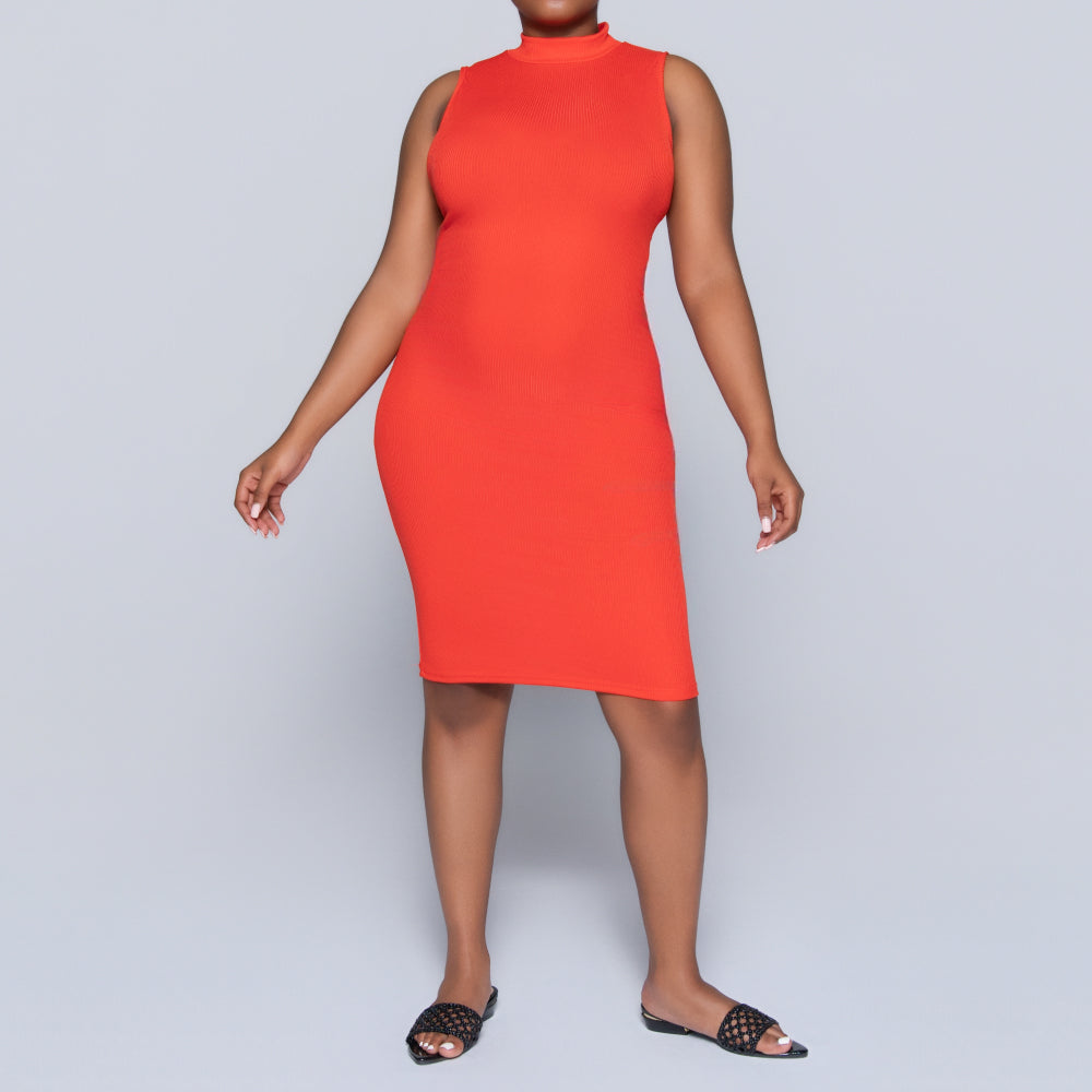 Terracotta Sleeveless Turtle Neck Dress