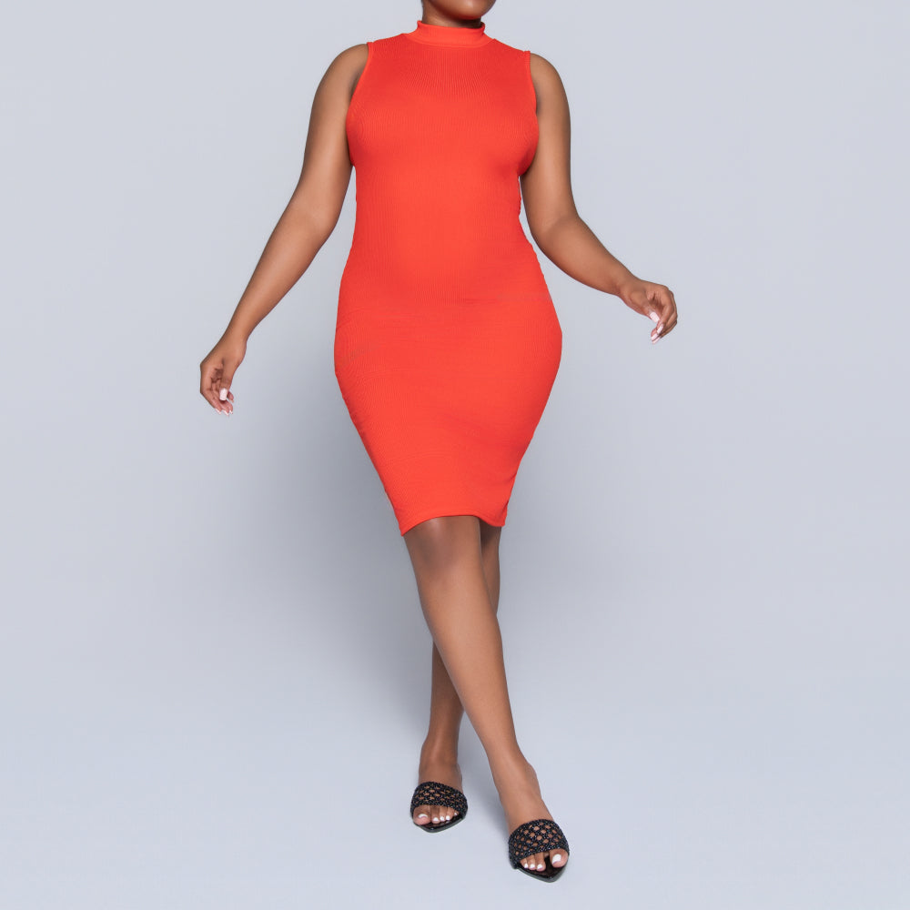 Terracotta Sleeveless Turtle Neck Dress