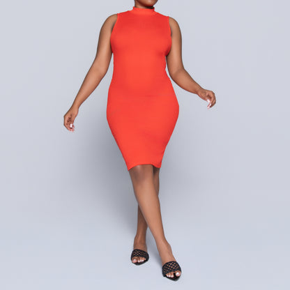 Terracotta Sleeveless Turtle Neck Dress