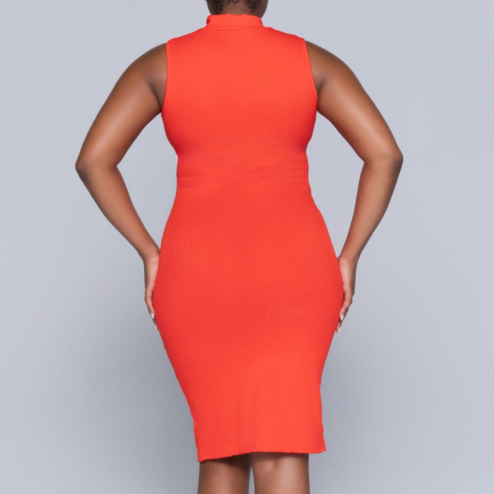 Terracotta Sleeveless Turtle Neck Dress