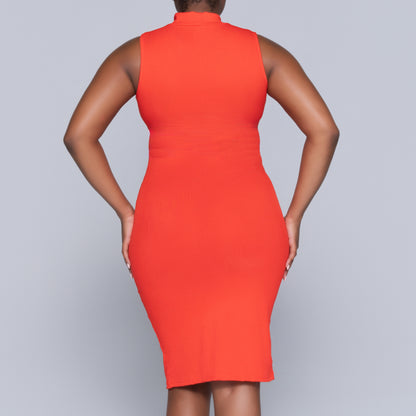 Terracotta Sleeveless Turtle Neck Dress