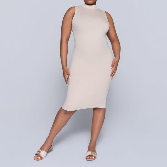 Stone Sleeveless Rib Turtle Neck Dress