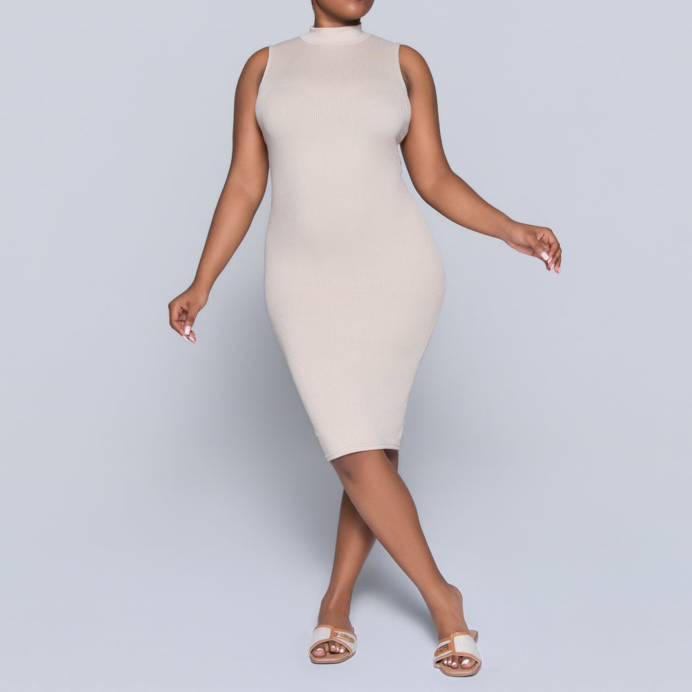 Stone Sleeveless Rib Turtle Neck Dress