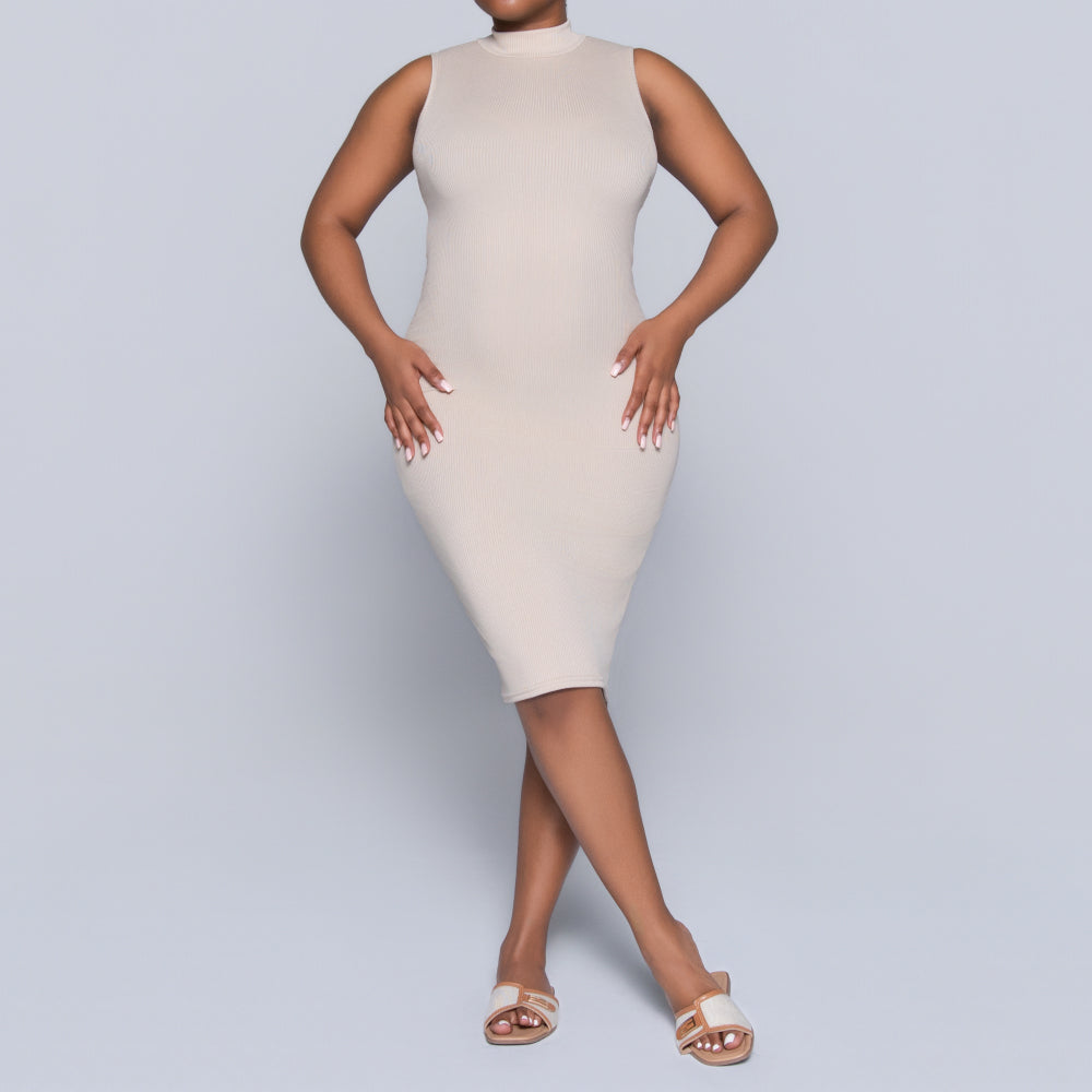 Stone Sleeveless Rib Turtle Neck Dress