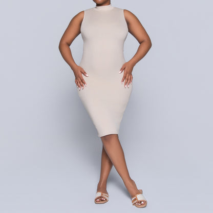 Stone Sleeveless Rib Turtle Neck Dress