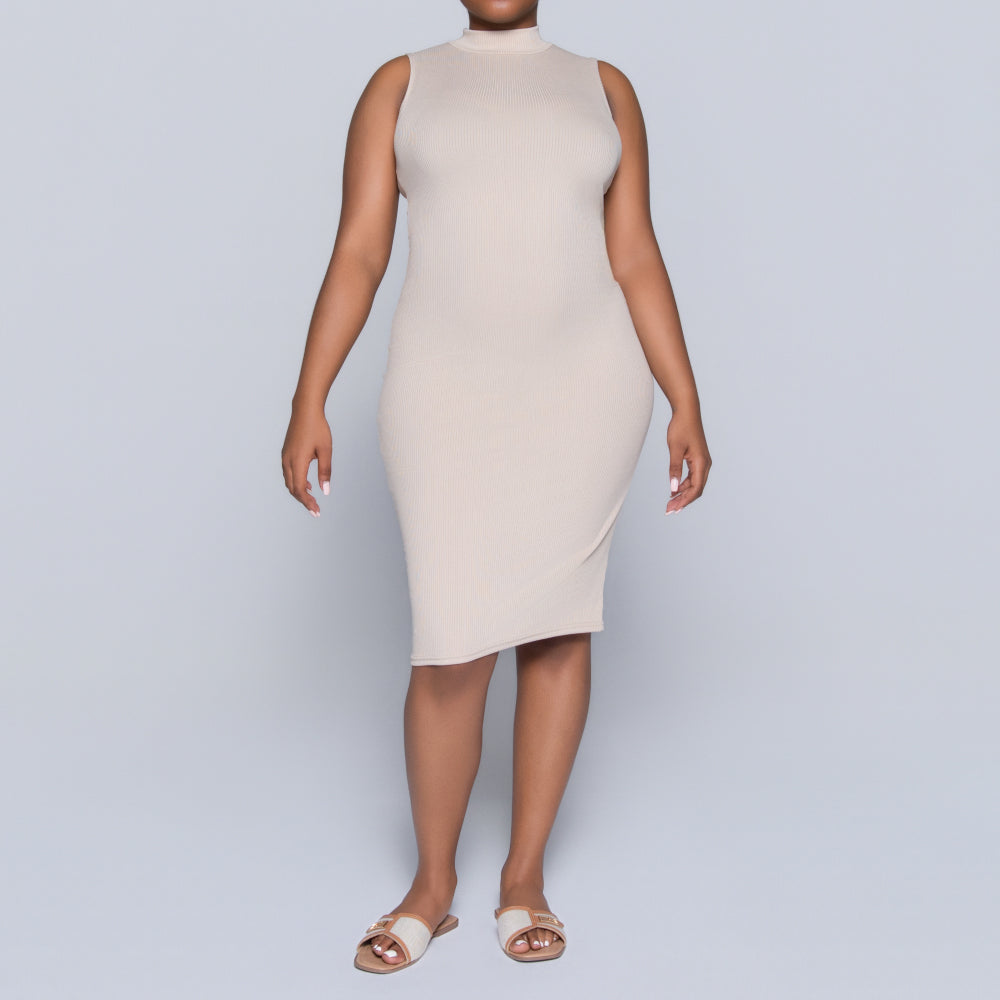 Stone Sleeveless Rib Turtle Neck Dress