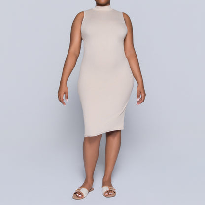 Stone Sleeveless Rib Turtle Neck Dress