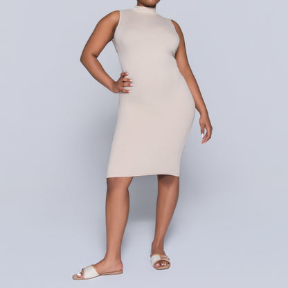 Stone Sleeveless Rib Turtle Neck Dress