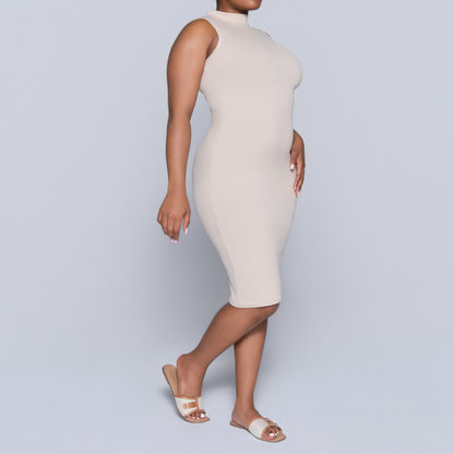 Stone Sleeveless Rib Turtle Neck Dress