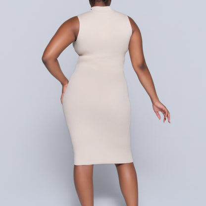 Stone Sleeveless Rib Turtle Neck Dress