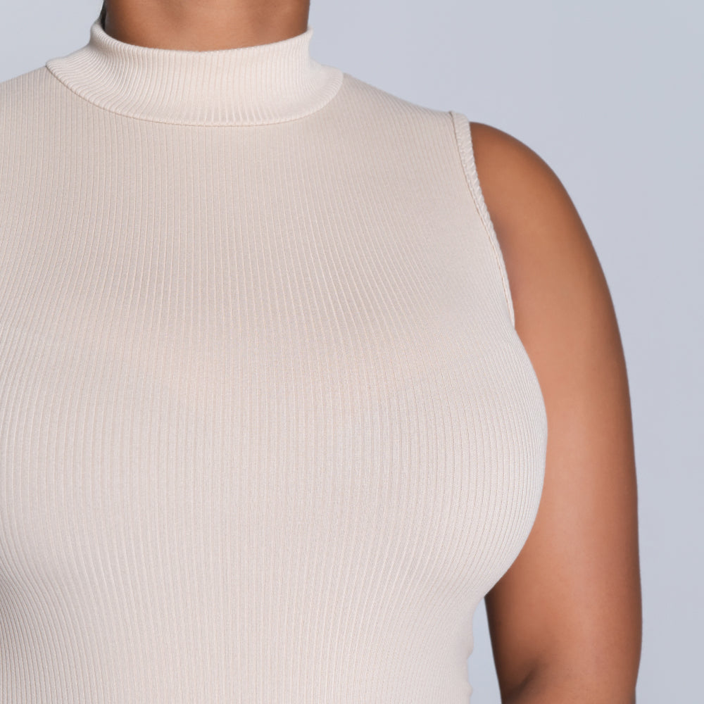 Stone Sleeveless Rib Turtle Neck Dress
