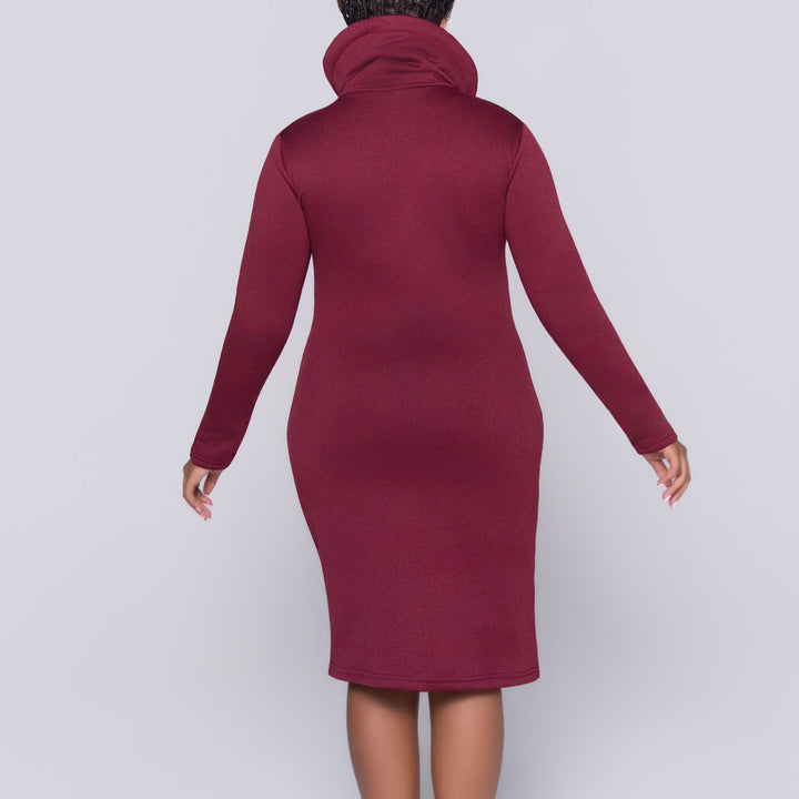 Wine Long Sleeve Dress
