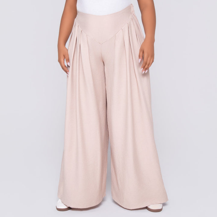 Stone Front Pleat Crypto Pants