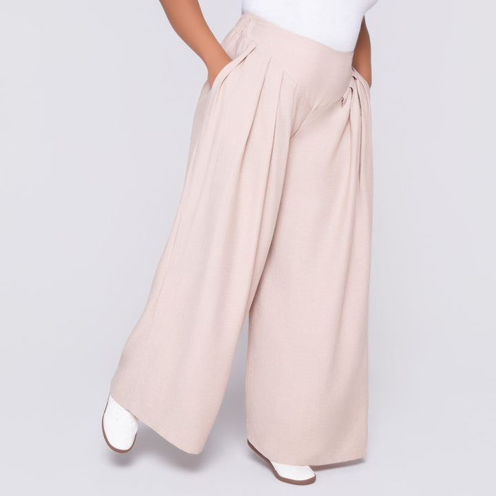 Stone Front Pleat Crypto Pants