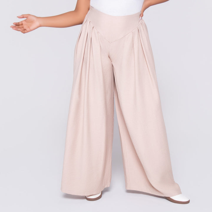 Stone Front Pleat Crypto Pants
