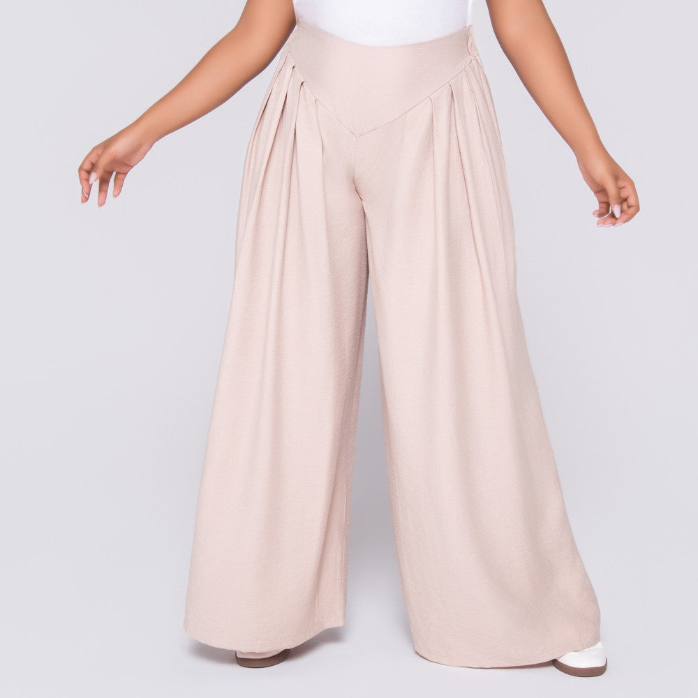 Stone Front Pleat Crypto Pants