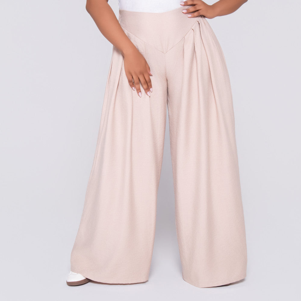 Stone Front Pleat Crypto Pants